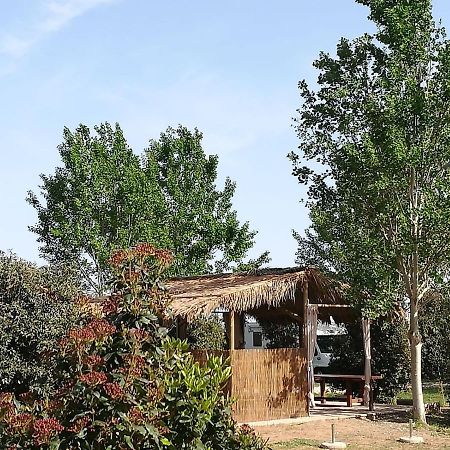 Bnatural Glamping Naturista/Nudista 라 토라치아 외부 사진